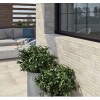 Фото в интерьере Paradyz Scandiano Beige