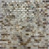Перламутровая Pixel Мозаика из натурального перламутра PIX771, чип 10*20 мм, сетка 290х300x2 мм