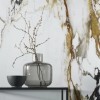 Фото в интерьере Porcelanosa  Paonazzo