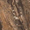 Полированный PrimaVera Tile Керамогранит Керамогранит 120x60 High Glossy Richter Brown High Glossy — фото 2