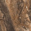 Полированный PrimaVera Tile Керамогранит Керамогранит 120x60 High Glossy Richter Brown High Glossy — фото 5