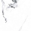 Полированный PrimaVera Tile Керамогранит Керамогранит 120x60 Polished Videl Bianco Polished — фото 3
