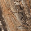 Полированный PrimaVera Tile Керамогранит Керамогранит 60x60 High glossy Richter brown High glossy — фото 4