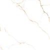 Полированный PrimaVera Tile Керамогранит Керамогранит 60x60 Polished Bellevue Gold Polished — фото 2