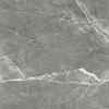 Матовый Prissmacer Fior Di Bosco Marengo 60x60 — фото 8
