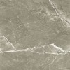 Матовый Prissmacer Fior Di Bosco Noce 60x60 — фото 8