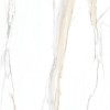 Полированный Rex Ceramiche I Classici CAL.Gold Glossy Ret. 60x120