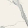 Rex Ceramiche I Classici Rex Magnum Classici Statuario Glossy Полированный 120x120