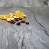 Фото в интерьере Roca Ceramica Marble