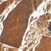 Полированный Seramiksan Vein Rosso Sugar Effect 60x120