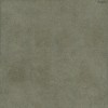 Лаппатированный Seranit ARC Green Lappato 60x60