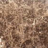 Лаппатированный Seranit Emprador Base Brown Rectified Full Lappato 60x120