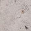 Бордюр Seranit Fibre Border Grey 72x1200 Lappato
