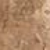 Бордюр Seranit Fossil Border Brown 72x1200 Full Lappato