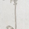 Декор Serra Shabby Chic Flower 2 Decor White Matt 30x90