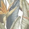 Декор Staro Slim Decors Керамогранит Elite Samui Decor A Matt Face 1 60х120