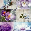 Декор Eden   Unicer Eden Decor Azafran Комплект 58x70,5
