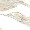 Полированный Керамогранит Velsaa Calacatta Gold Paonazzo 120x60 — фото 5