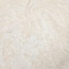 Vitra Керамогранит K958030R0001VTER LiquidSilk Слоновая Кость Матовый R10A Ректификат 60х120 — фото 12