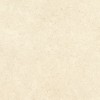Напольная Vitra K948598R0001VTER SandStone Песочный Мат R10A 60x120 — фото 6