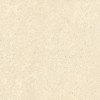 Напольная Vitra K948598R0001VTER SandStone Песочный Мат R10A 60x120 — фото 8