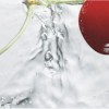 Декор Wajazz Kitchen Berry D Decor 20x50