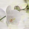 Декор Wajazz Paris Lila Orchid A Decor 30x60