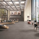 Миниатюра фото коллекции Матовый Atlas Concorde Kone Silver 75x75
