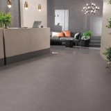 Миниатюра фото коллекции Матовый Atlas Concorde Kone Silver 75x75