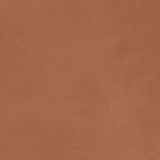 Настенная Atlas Concorde Prism Caramel 50x120 в интерьере