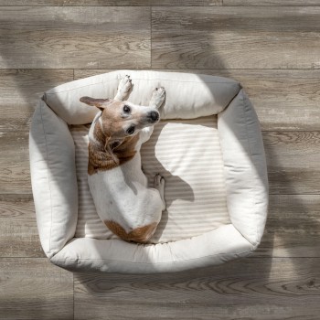 Коллекция Global Tile Bremen