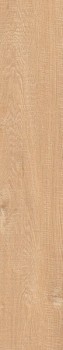 Керамогранит Lee Wood Spice Matt Rocker 20х120 Керамогранит Lee Wood Spice Matt Rocker 20х120