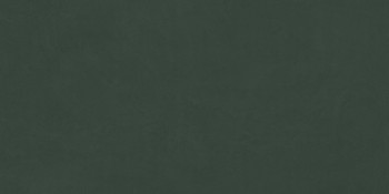 SR09 60х120х9 Непол.Рект. SR09 60х120х9 Непол.Рект.