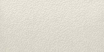 APE Ceramica NISUS NEVE RECT 60X120