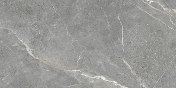 Artkera Group Titanium Gris 60х120 Artkera Group Titanium Gris 60х120