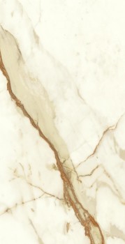 Marvel Calacatta Imperiale 40x80 Shiny