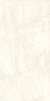 Atlas Concorde Plan Calacatta Delicato Silk 12 mm 162х324 Atlas Concorde Plan Calacatta Delicato Silk 12 mm 162х324