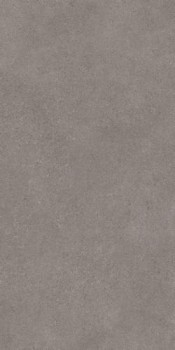 Atlas Concorde Plan Kone Grey Hammered 6 mm 162х324