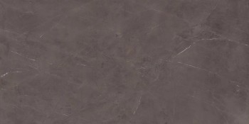 Atlas Concorde Plan Precious Brown Silk 160х320 Atlas Concorde Plan Precious Brown Silk 160х320