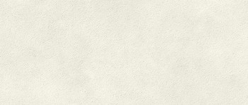 Плитка облиц. керамич. BOOST EXPRESSION GRAIN GLOW 50X120, 8.5мм, 50x120 (AYTT)