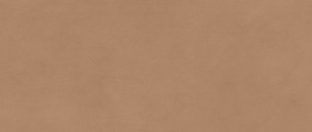 Плитка облиц. керамич. BOOST EXPRESSION SIENNA 50X120, 8.5мм, 50x120 (AYR9) Плитка облиц. керамич. BOOST EXPRESSION SIENNA 50X120, 8.5мм, 50x120 (AYR9)