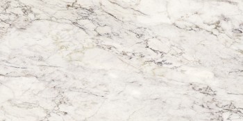 Керамогранит La Fabbrica AVA Marmi Siciliani Breccia Capraia Lap 60х120 Керамогранит La Fabbrica AVA Marmi Siciliani Breccia Capraia Lap 60х120