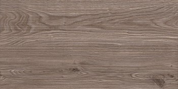 Плитка Альбе Дерево рельеф Люкс 300х600х9