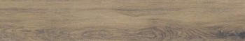 Керамогранит Blues Oak 20х120