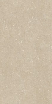 Керамогранит 785481 Rinascenza Arena Conchiglia Matte 60х120