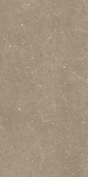 Керамогранит 785482 Rinascenza Arena Pietra Matte 60х120 Керамогранит 785482 Rinascenza Arena Pietra Matte 60х120