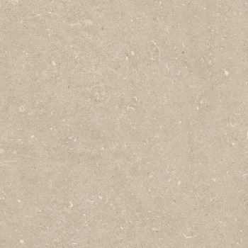 Керамогранит 785485 Rinascenza Arena Conchiglia Matte 60х60