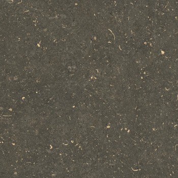 Керамогранит 785487 Rinascenza Arena Platino Matte 60х60