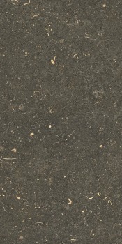 Керамогранит 785491 Rinascenza Arena Platino Matte 30х60