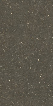 Керамогранит 785495 Rinascenza Arena Platino Grip 60х120